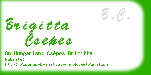 brigitta csepes business card