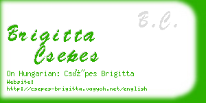 brigitta csepes business card